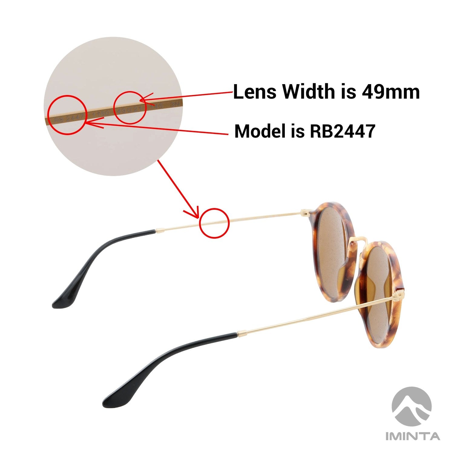 Where to find your model code