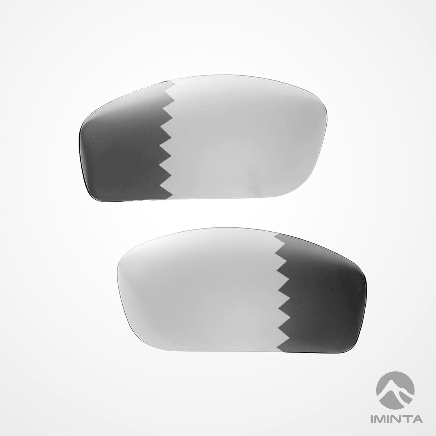 IMINTA Oakley Monster Pup Transition ##transition