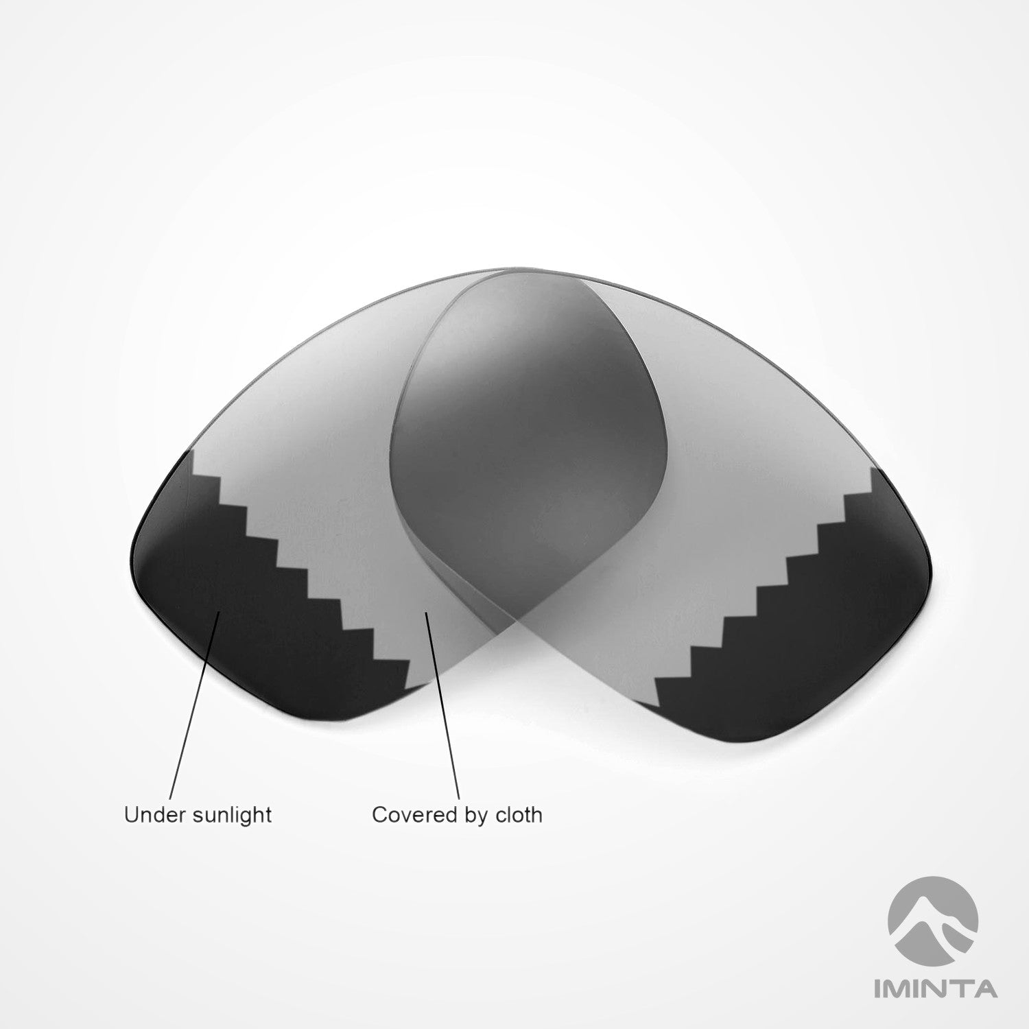 IMINTA Oakley Ten Transition ##transition