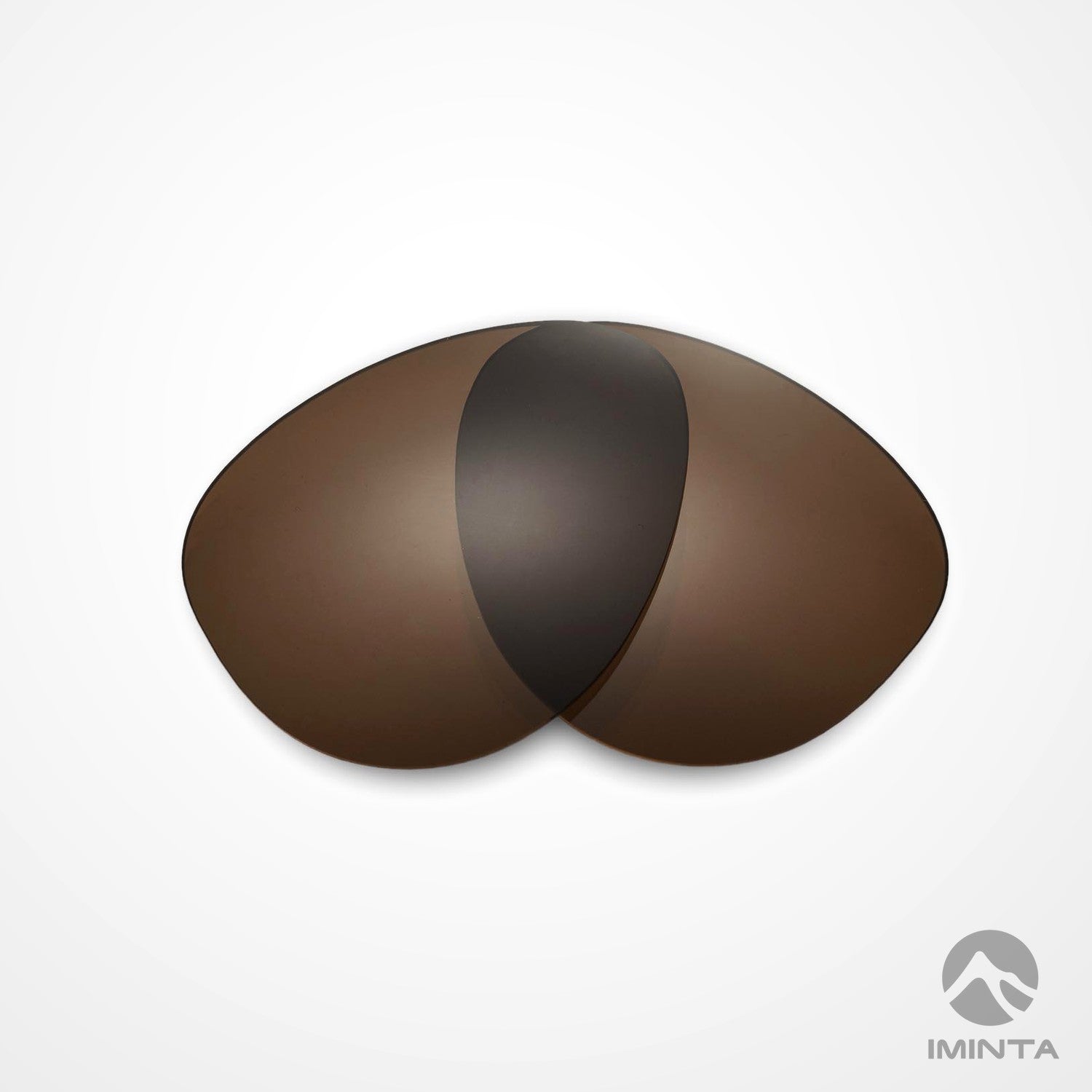 IMINTA Ray-Ban Aviator RB3025 Brown ##brown