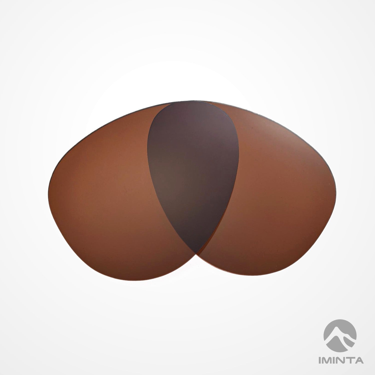IMINTA Ray-Ban Aviator RB3025 Brown ##brown
