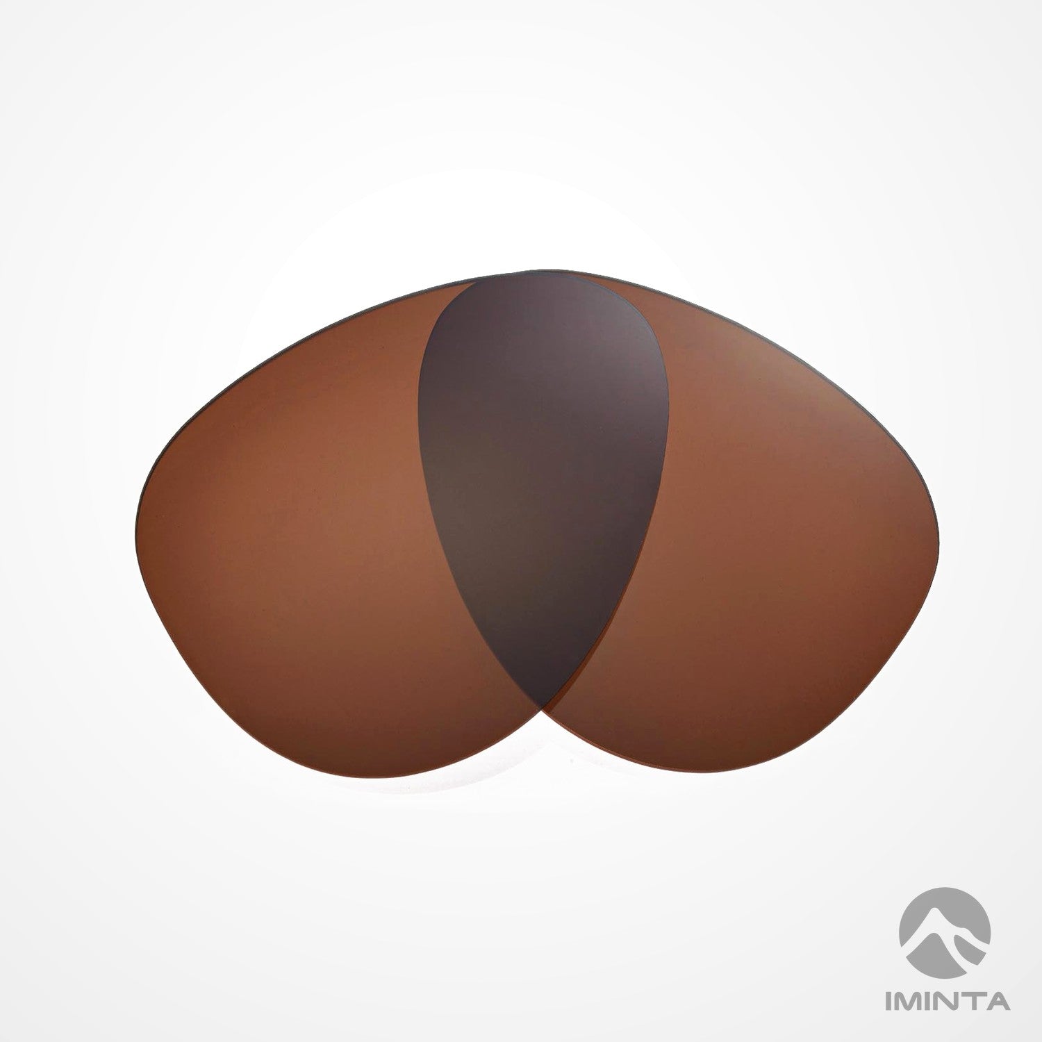 IMINTA Ray-Ban Aviator RB3025 Brown ##brown