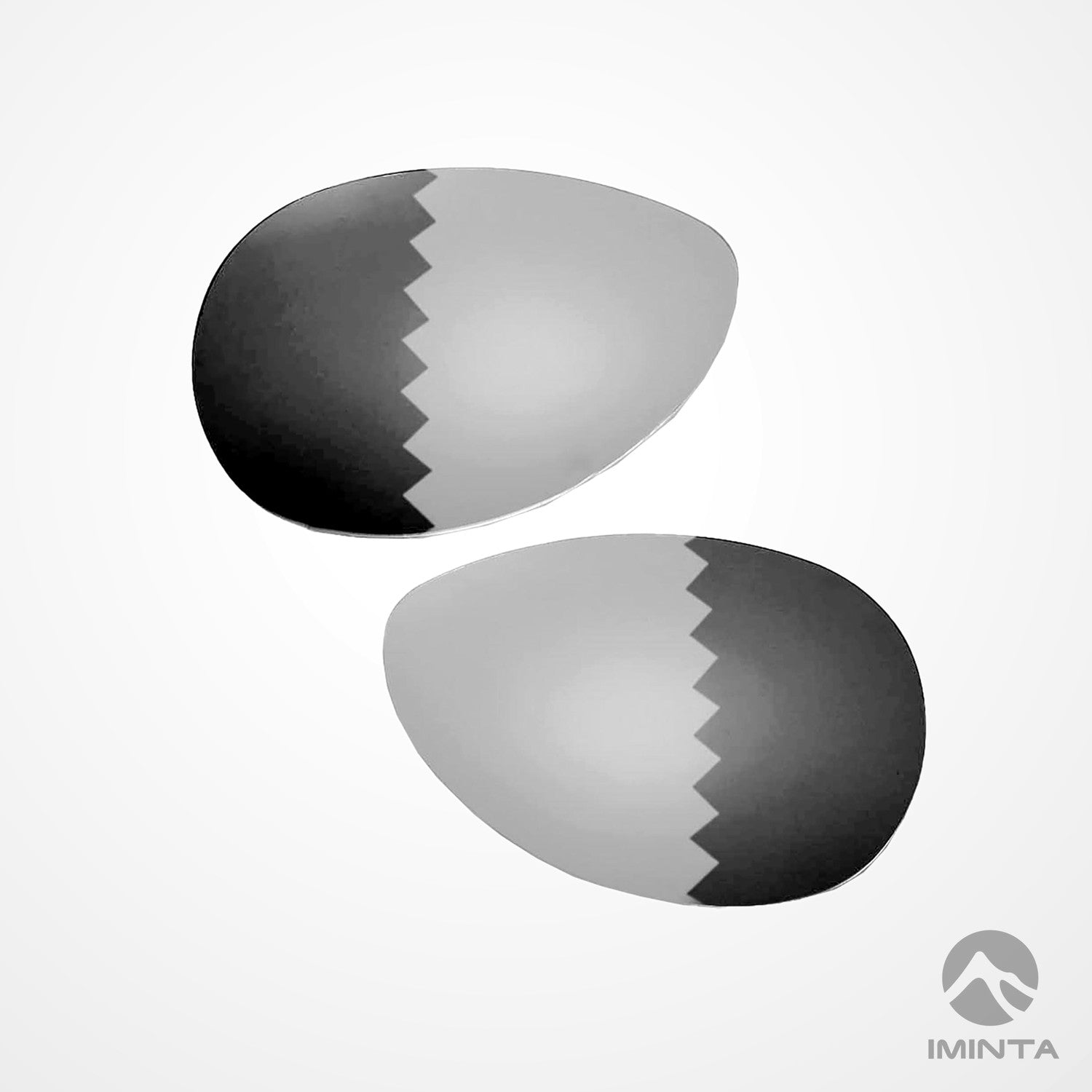 IMINTA Oakley Feedback Transition ##transition