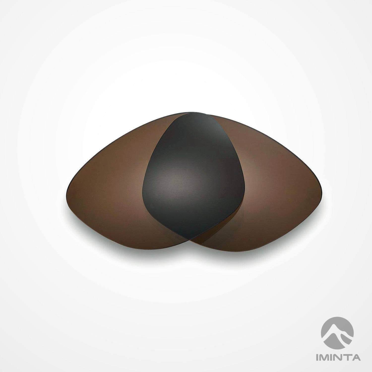 IMINTA Ray-Ban RB4175 Brown ##brown