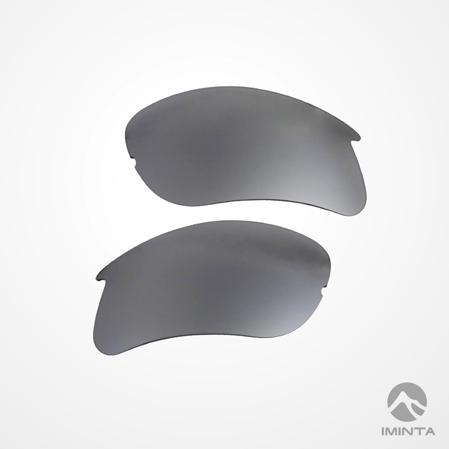 IMINTA Bollé Vigilante Titanium ##titanium