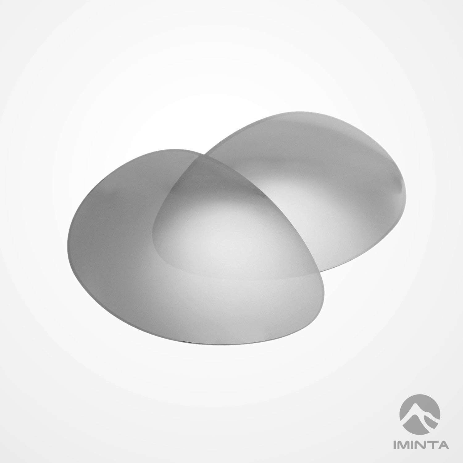 IMINTA Smith Serpico Titanium ##titanium titanium--fortivue-polarized