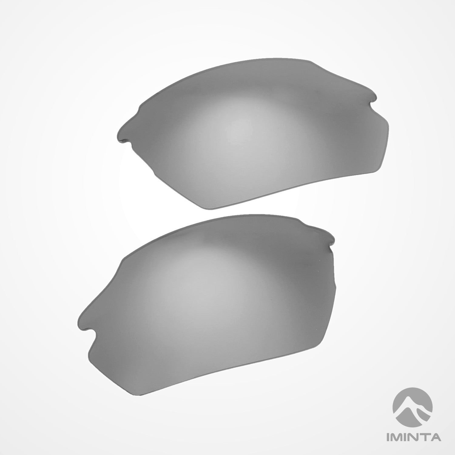 IMINTA Smith Parallel Max Titanium ##titanium titanium--fortivue-polarized