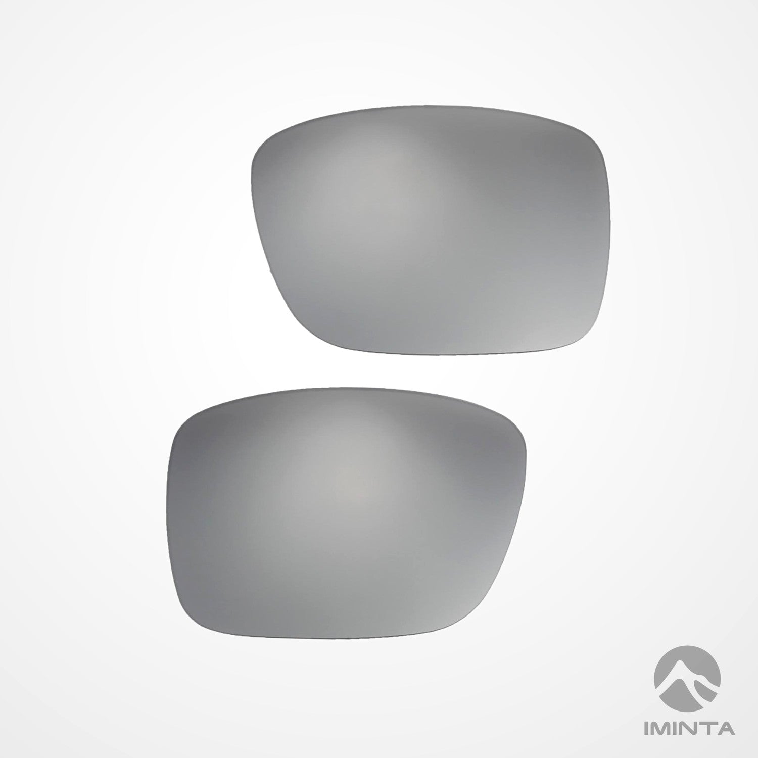 IMINTA VonZipper Elmore Titanium ##titanium