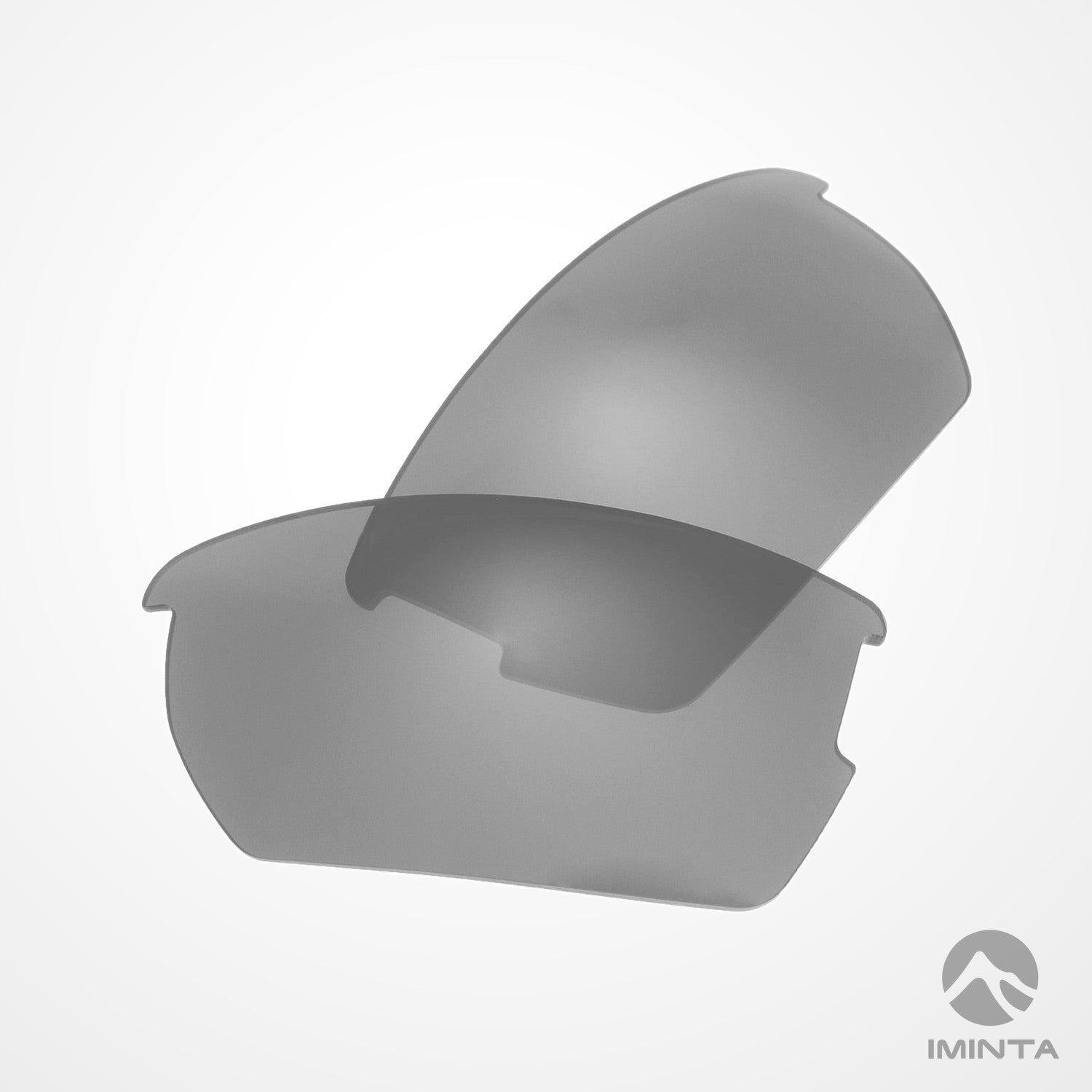 IMINTA Wiley X Valor Titanium ##titanium titanium--fortivue-polarized