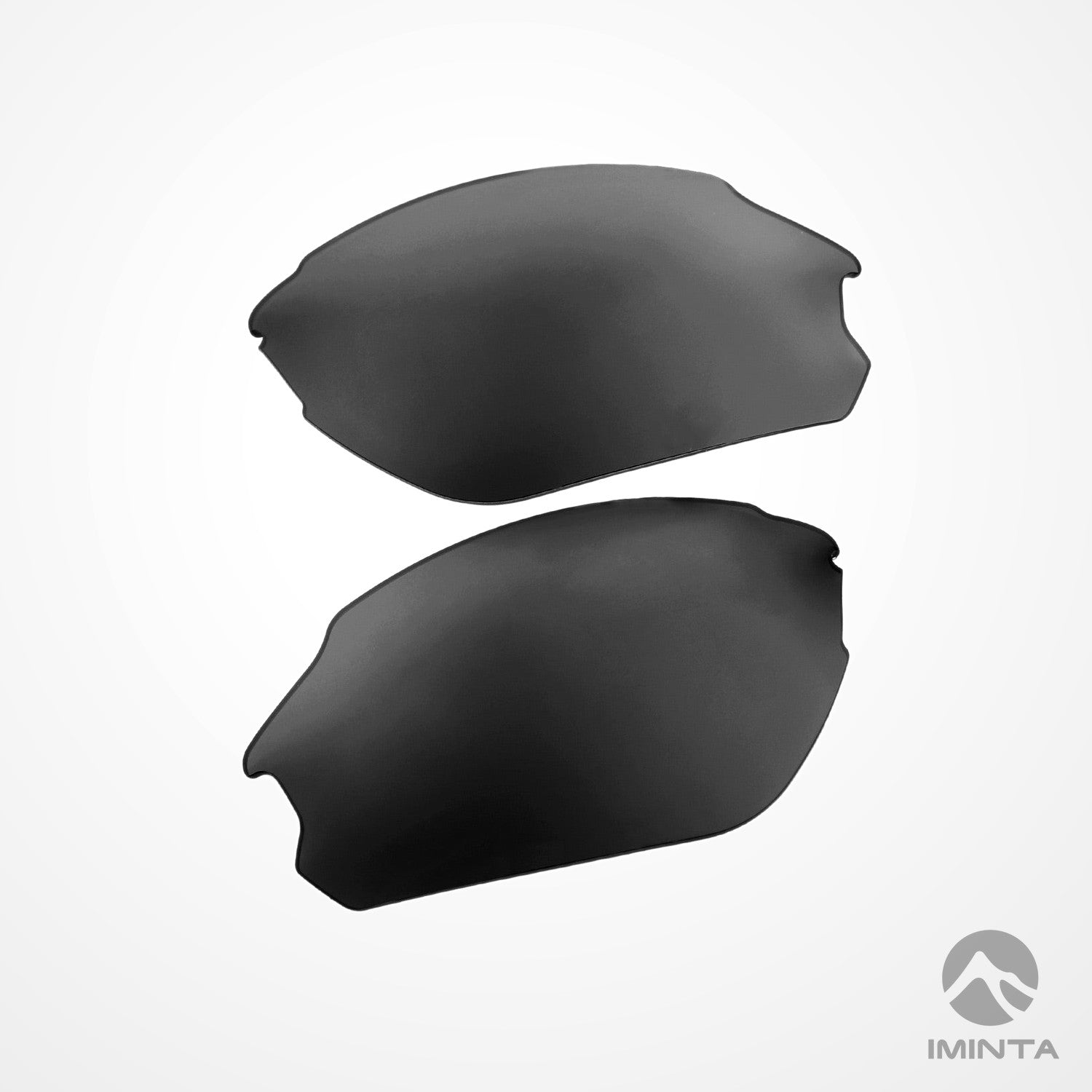 IMINTA Smith Optics Parallel D-Max Black ##black black--fortivue-polarized