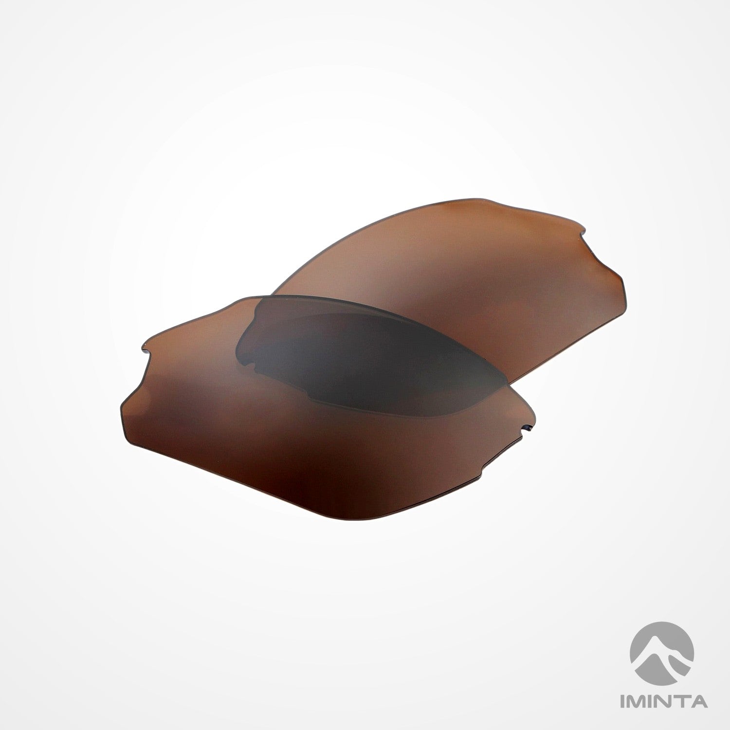 IMINTA Smith Optics Parallel D-Max Brown ##brown brown--fortivue-polarized