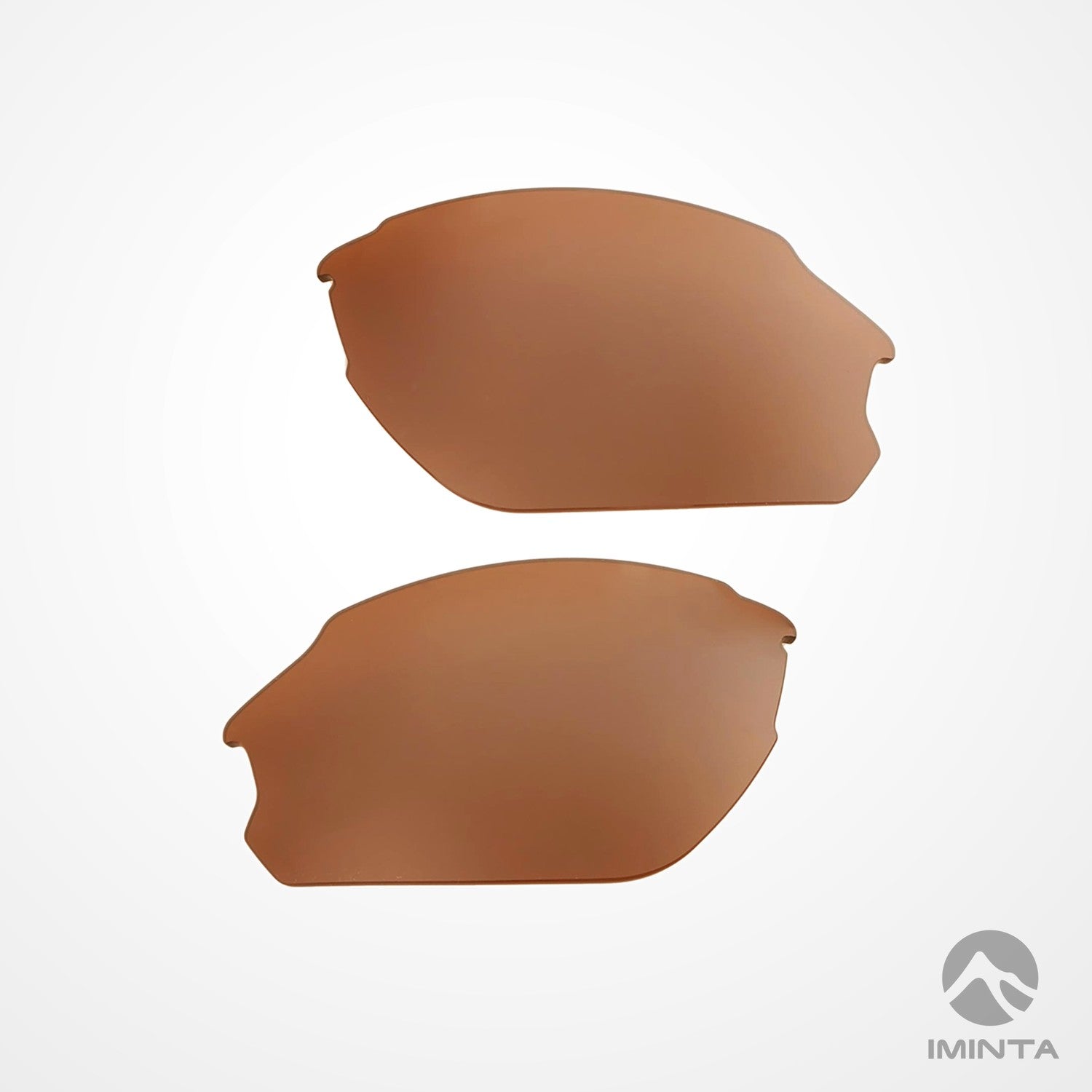 IMINTA Smith Optics Parallel D-Max Brown ##brown brown--polarized