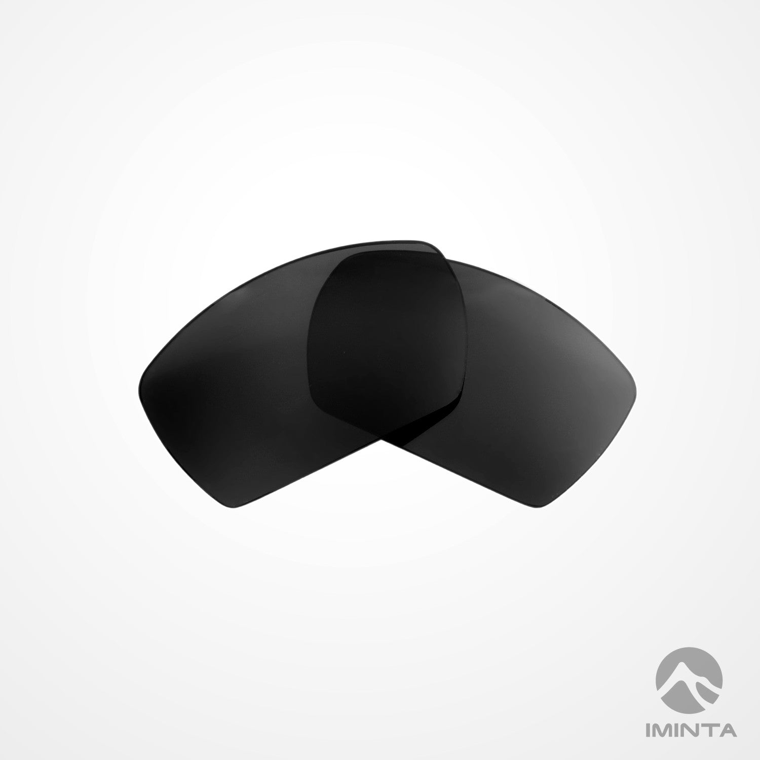 IMINTA Smith Optics Guide's Choice Black ##black