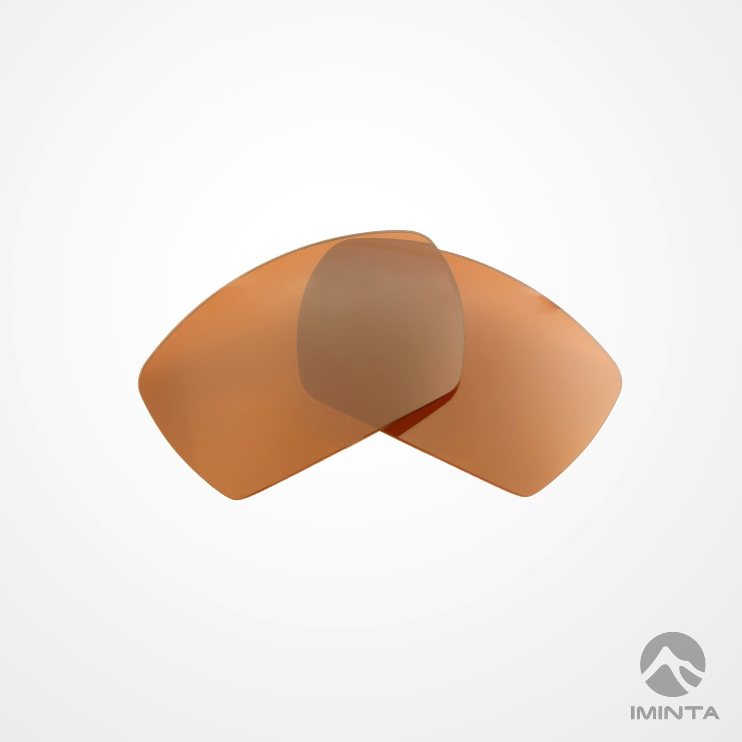 IMINTA Smith Optics Guide's Choice Brown ##brown