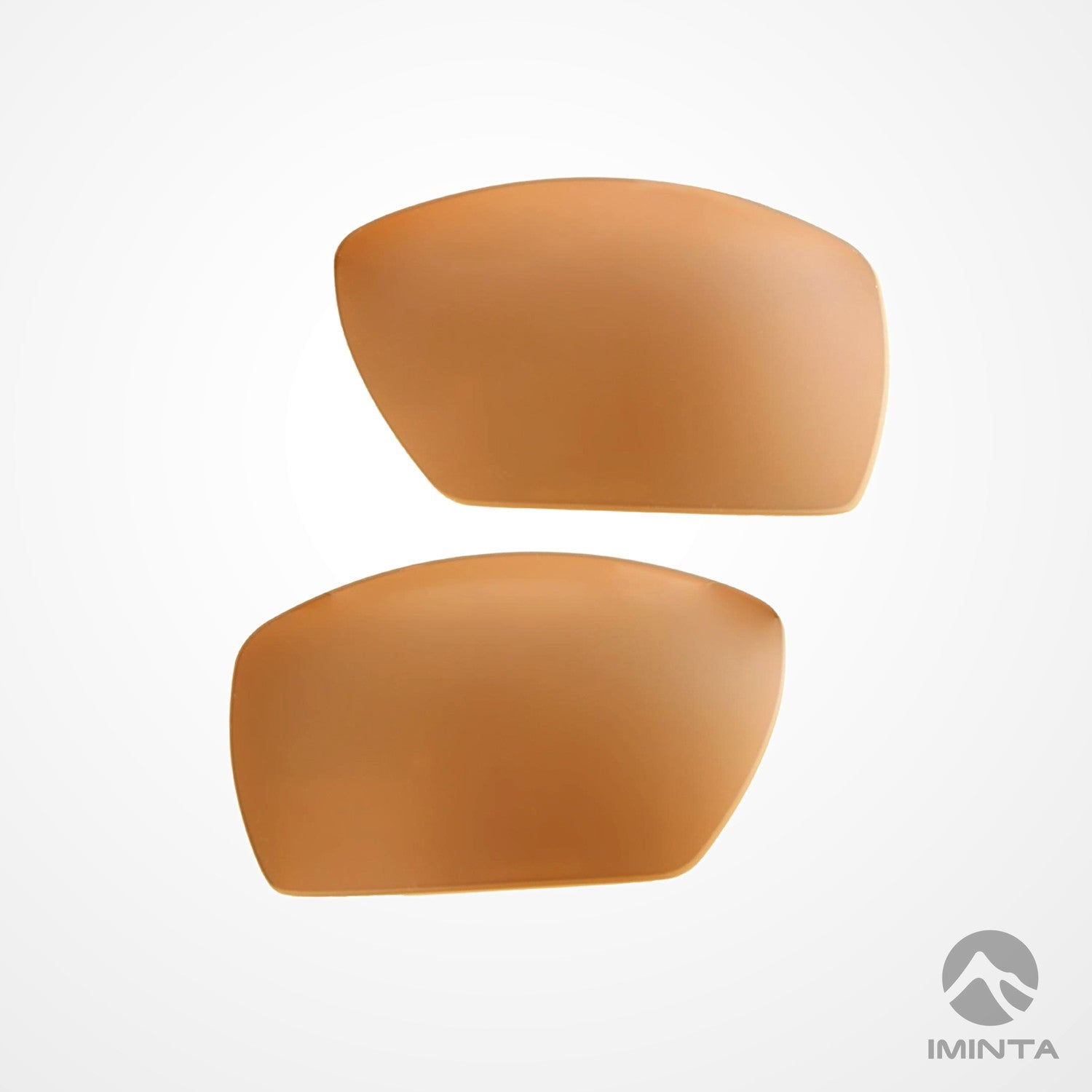 IMINTA Smith Optics Guide's Choice Brown ##brown
