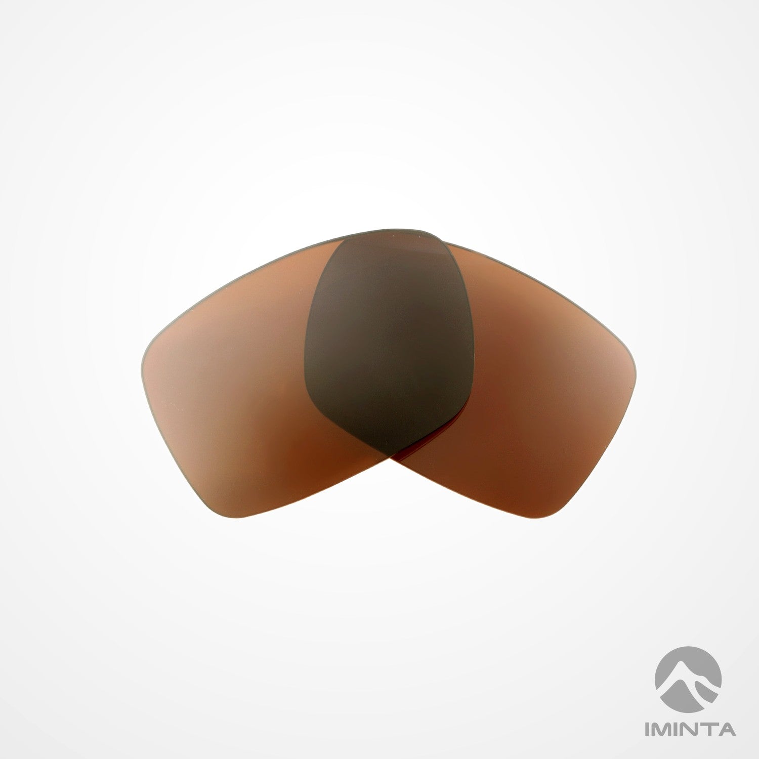 IMINTA Smith Optics Outlier XL Brown ##brown