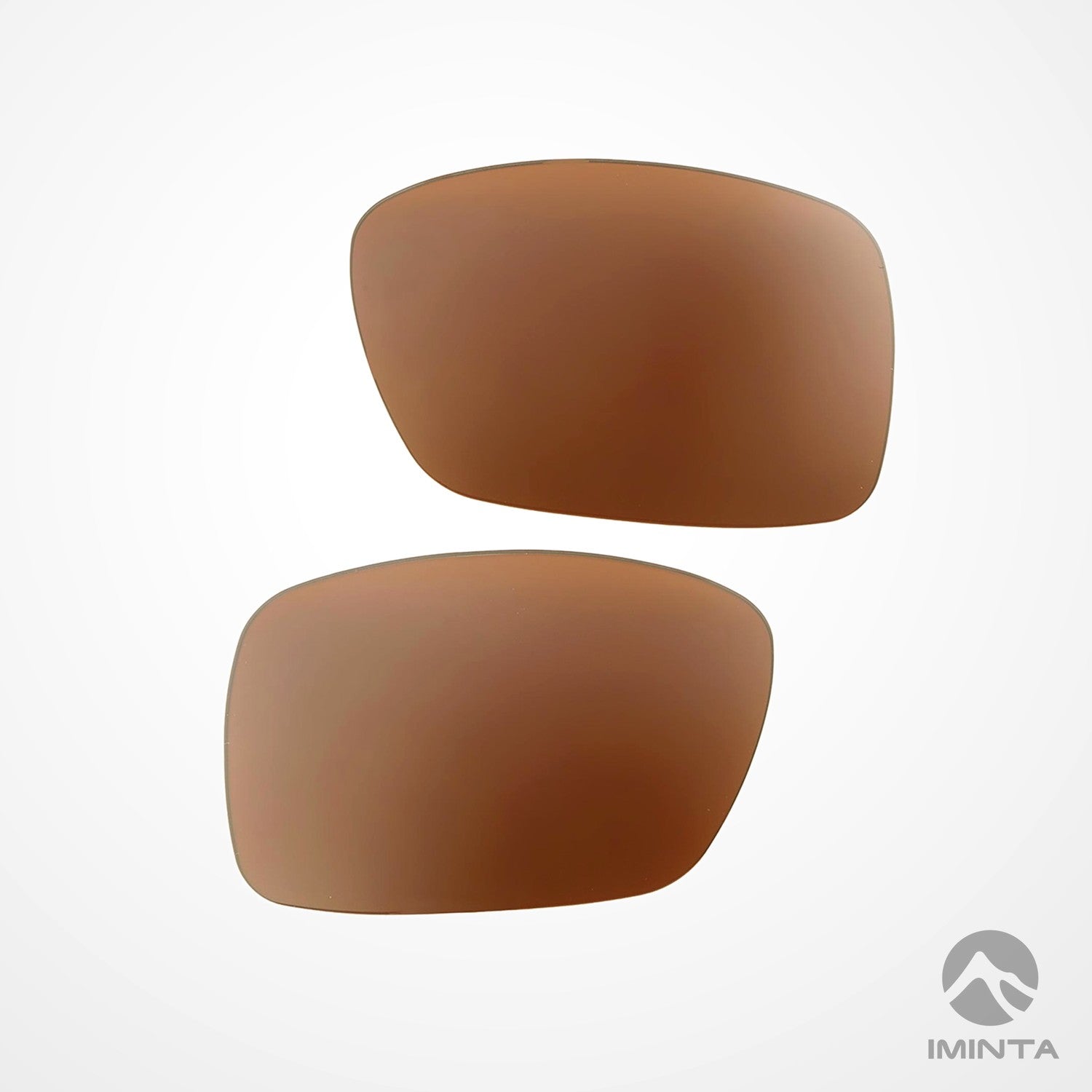IMINTA Smith Optics Outlier XL Brown ##brown
