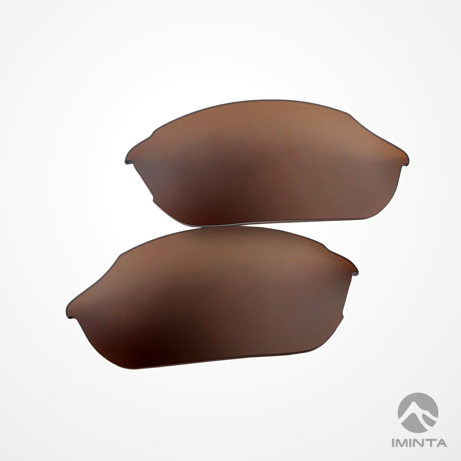 IMINTA Smith Optics Parallel Brown ##brown brown--fortivue-polarized