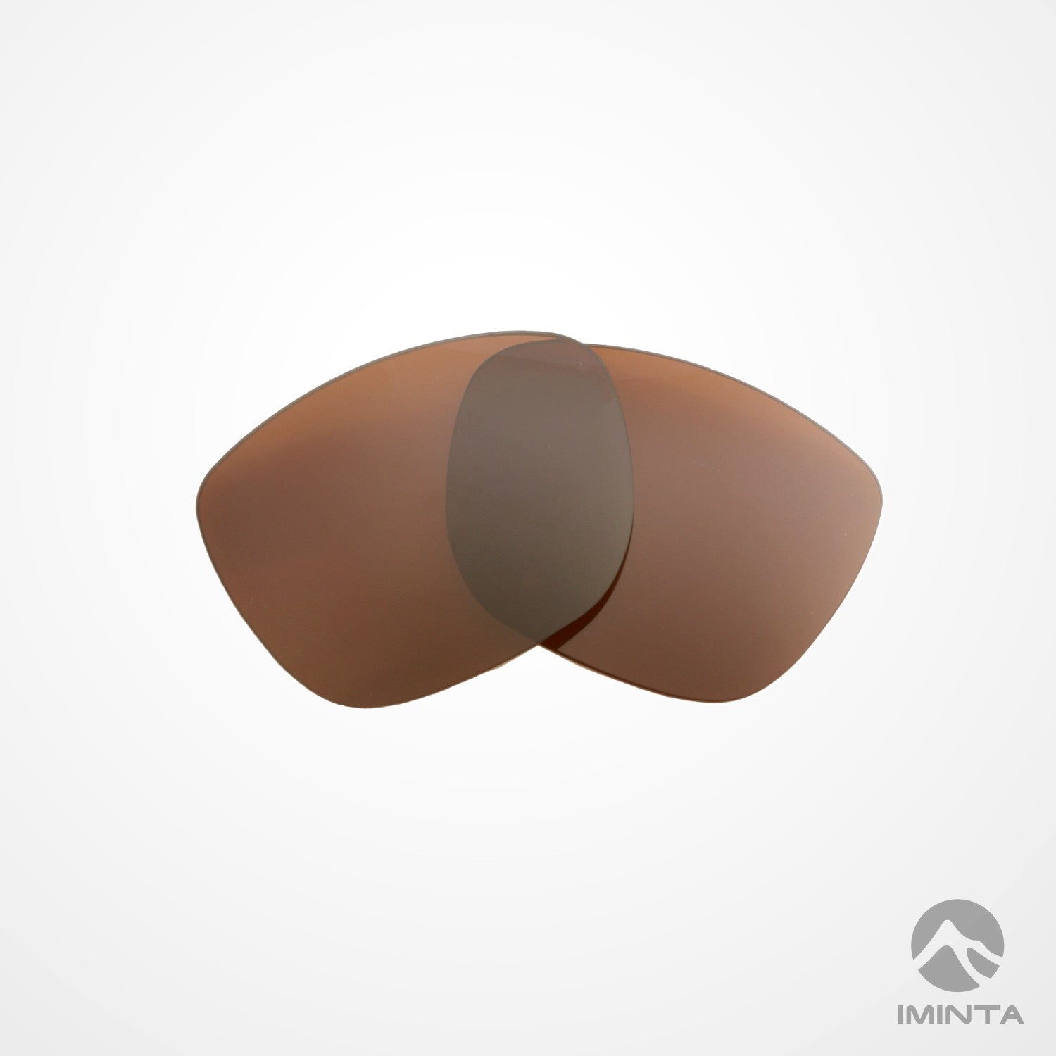IMINTA Smith Optics Lowdown XL Brown ##brown