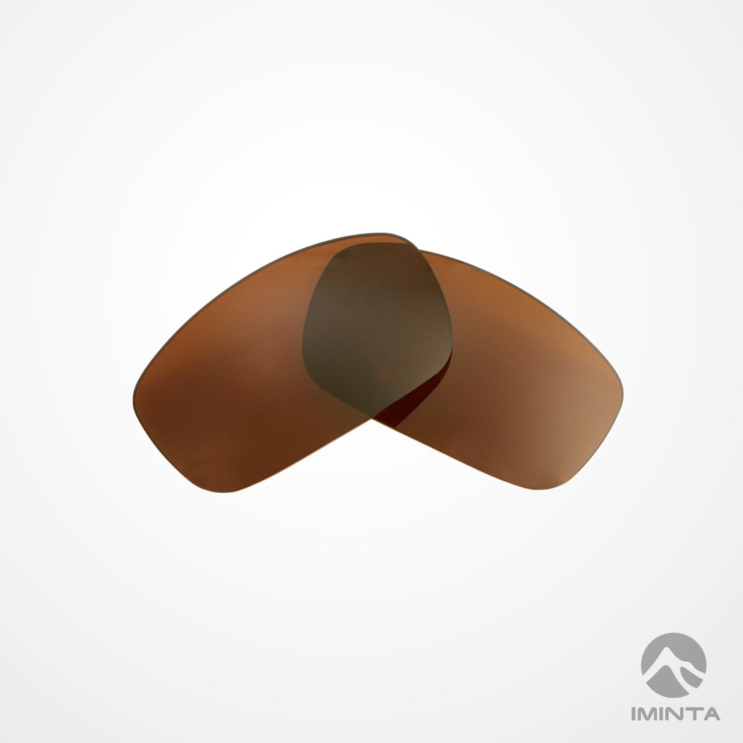 IMINTA Smith Optics Prospect Brown ##brown