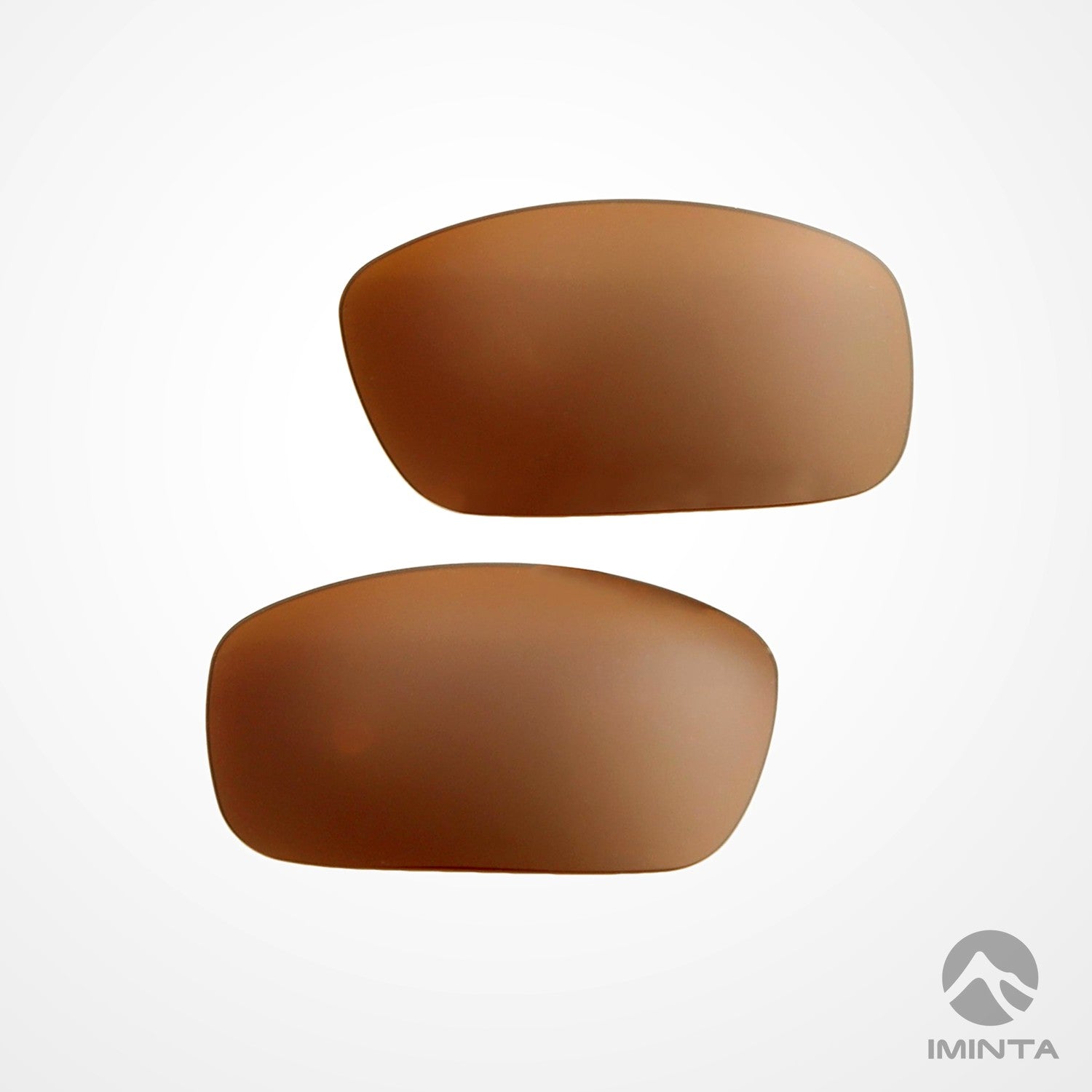 IMINTA Smith Optics Prospect Brown ##brown