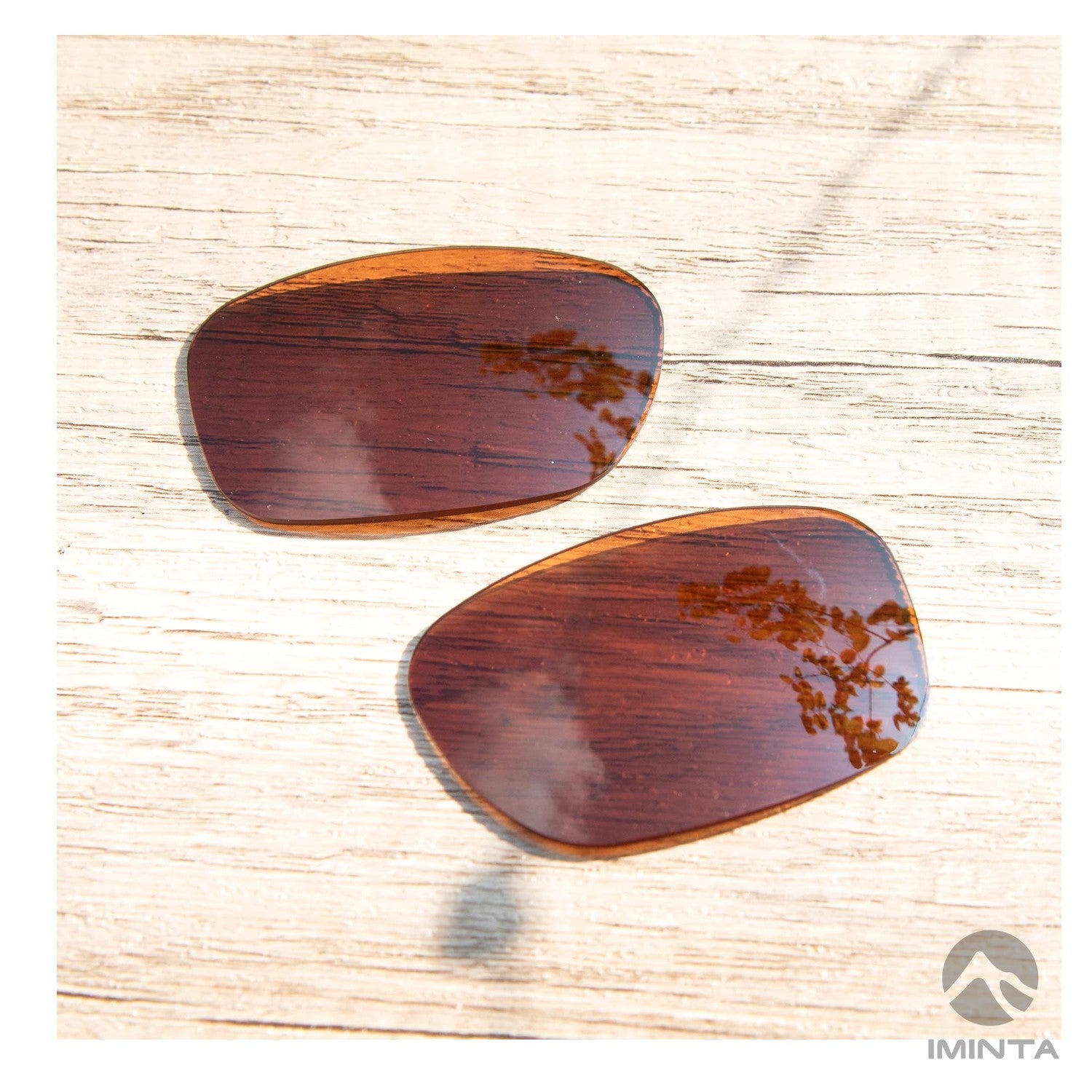 IMINTA Maui Jim Bamboo Forest Brown ##brown