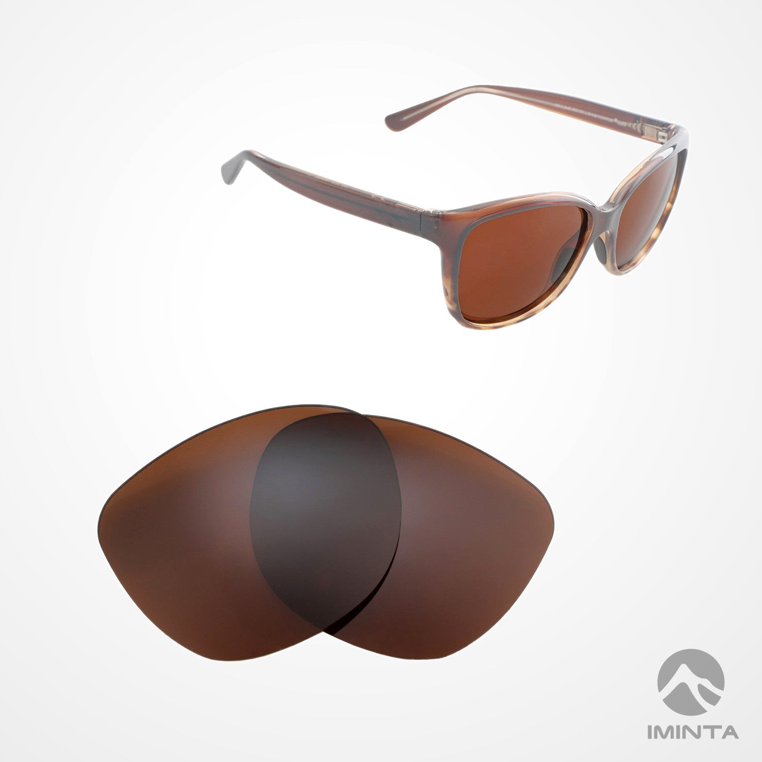 IMINTA Maui Jim Starfish Brown ##brown