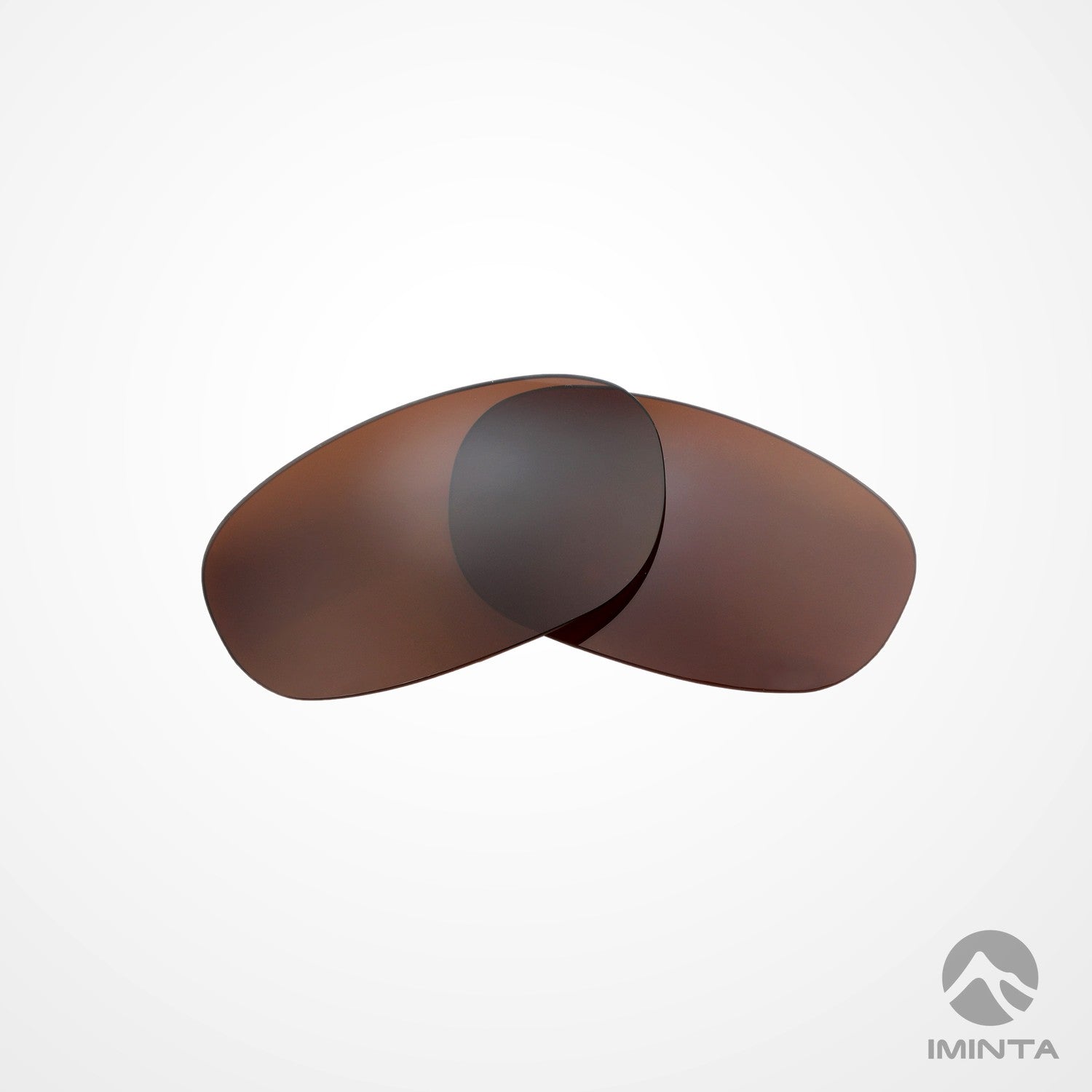 IMINTA Ray-Ban RB2027 Brown ##brown