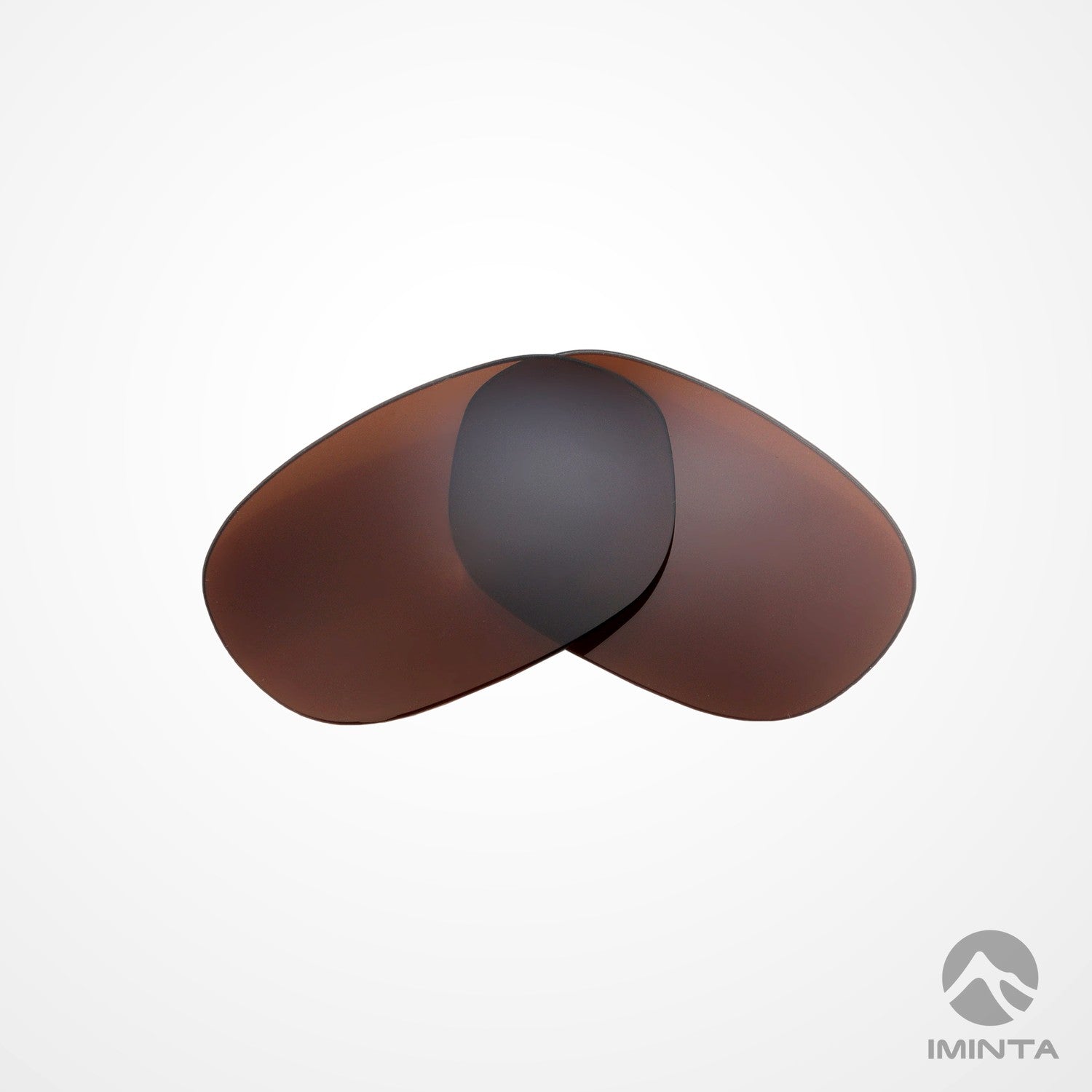 IMINTA Ray-Ban RB2016 Daddy-O Brown ##brown