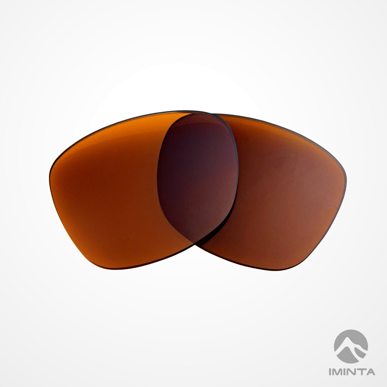 IMINTA Ray-Ban Stories Wayfarer RW4002 Brown ##brown