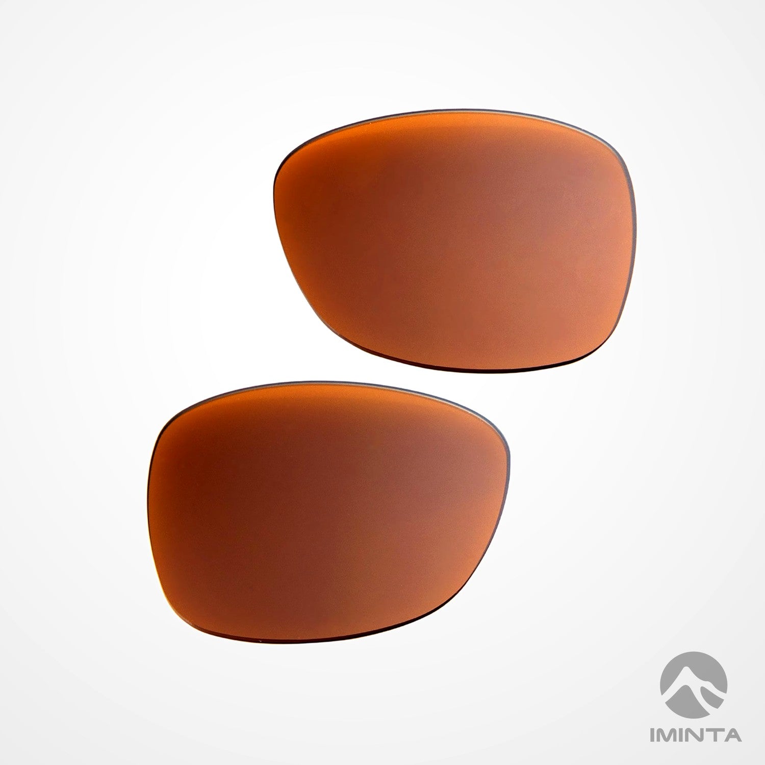 IMINTA Ray-Ban Stories Wayfarer RW4002 Brown ##brown