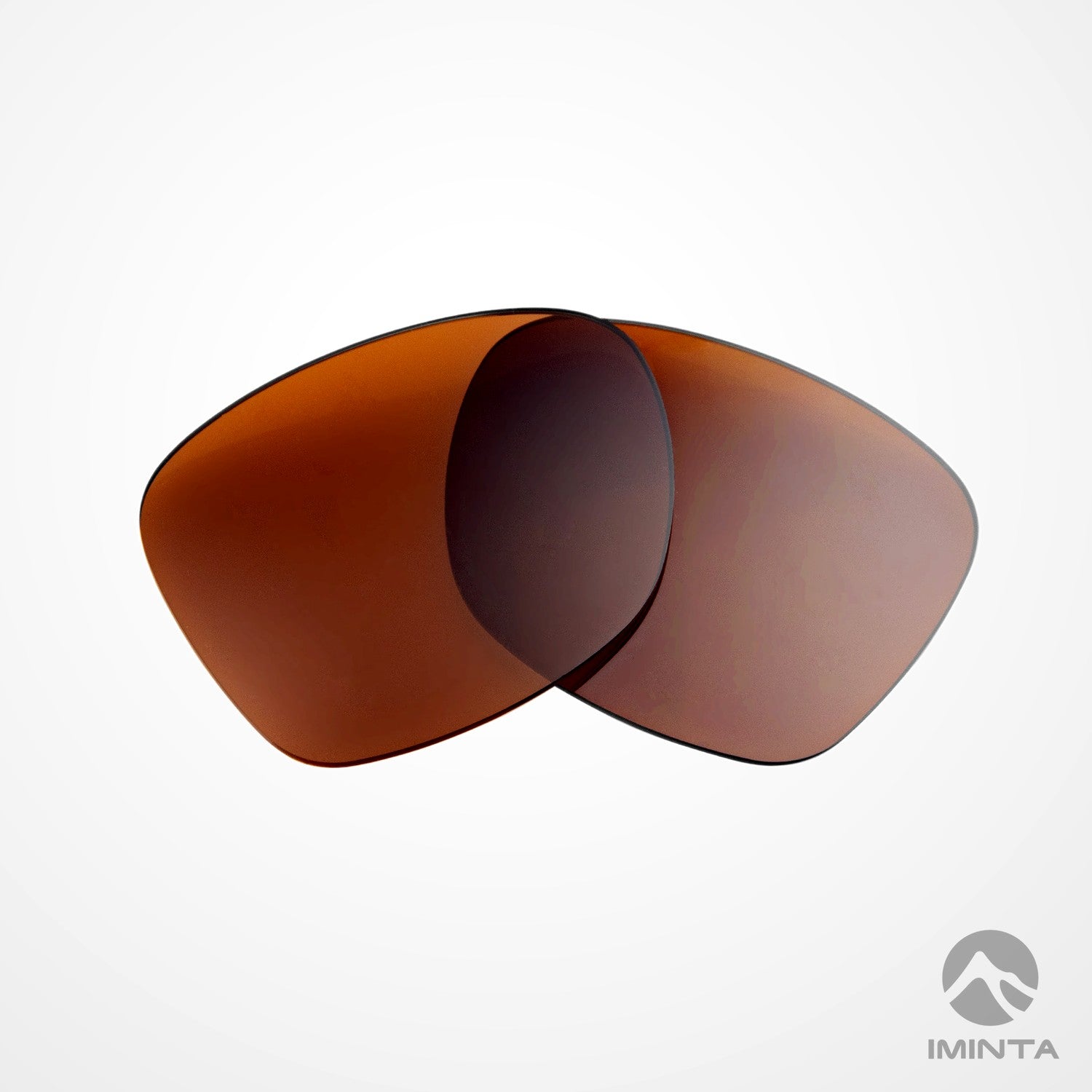 IMINTA Ray-Ban Stories Wayfarer RW4004 Brown ##brown