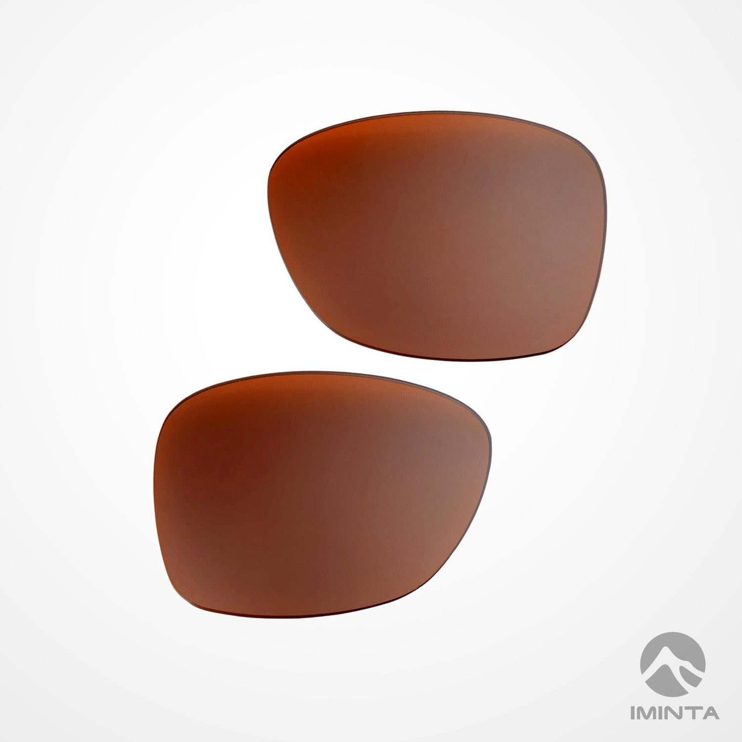 IMINTA Ray-Ban Stories Wayfarer RW4004 Brown ##brown