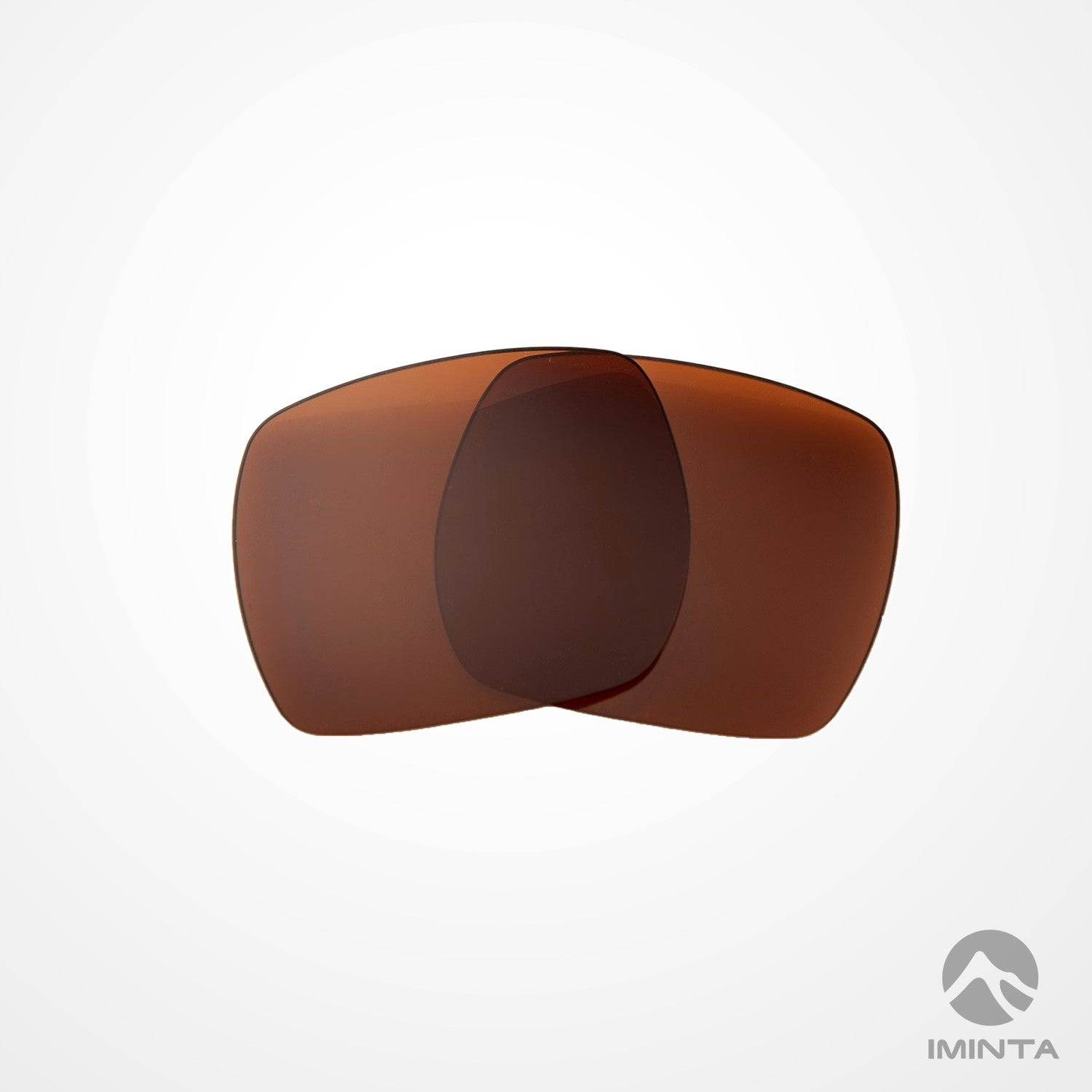 IMINTA Ray-Ban RB1971 Square Brown ##brown