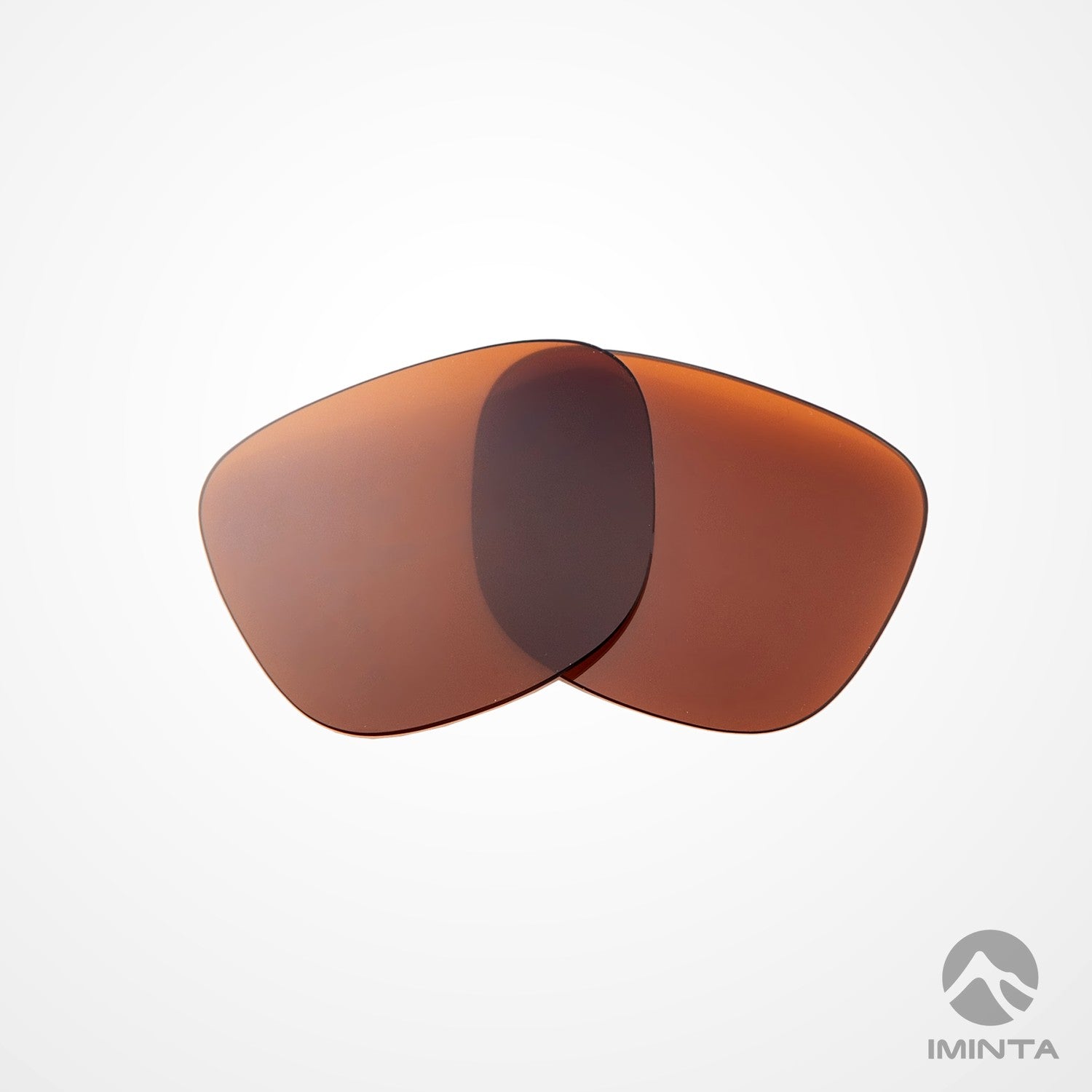 IMINTA Smith Optics Lowdown 2 Brown ##brown