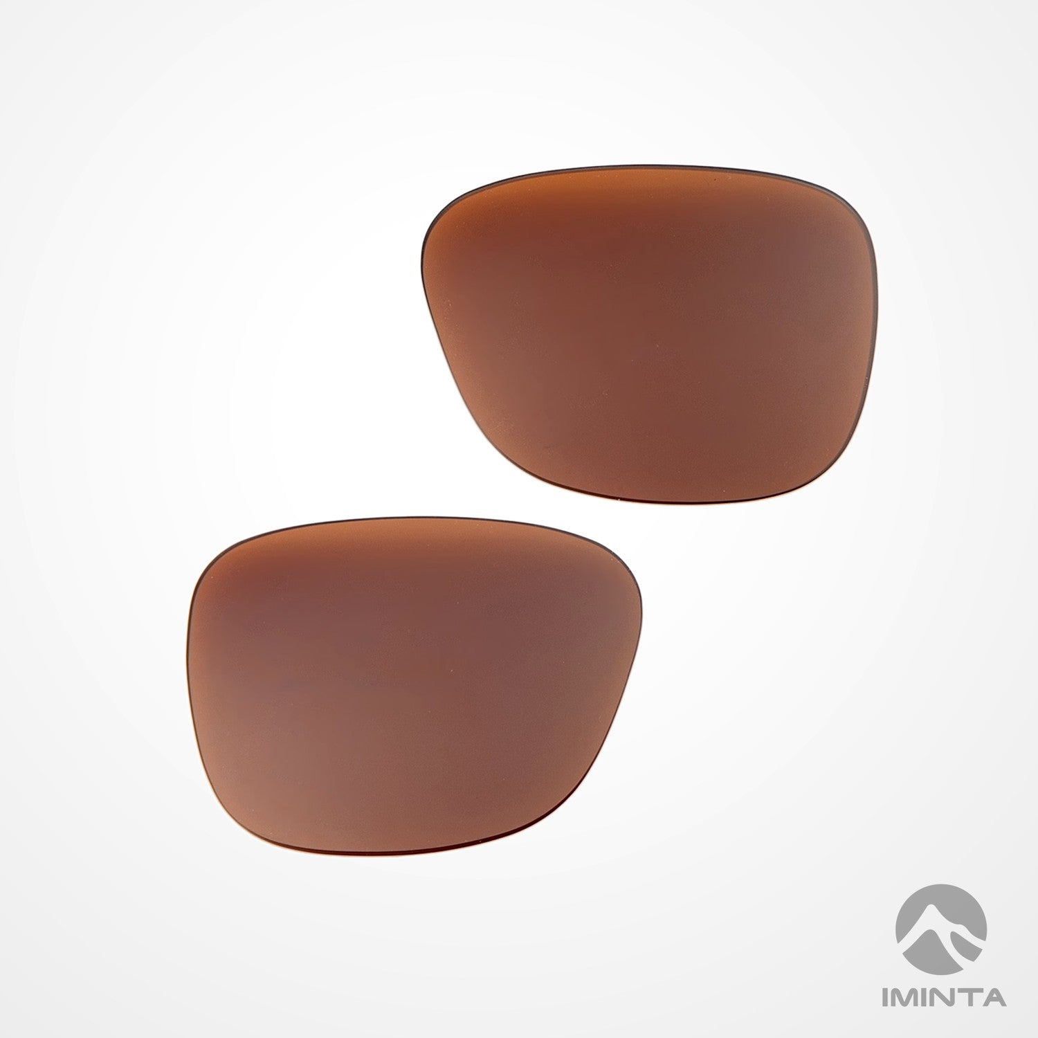 IMINTA Smith Optics Lowdown 2 Brown ##brown