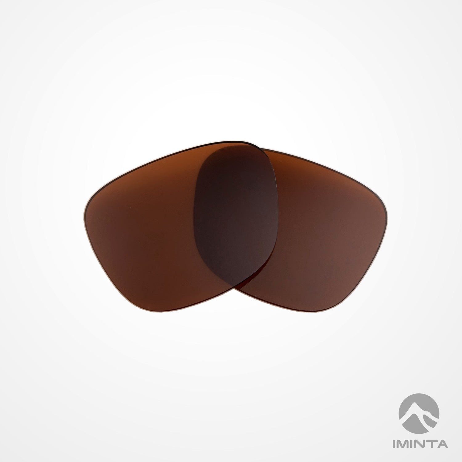 IMINTA Smith Optics Lowdown XL 2 Brown ##brown