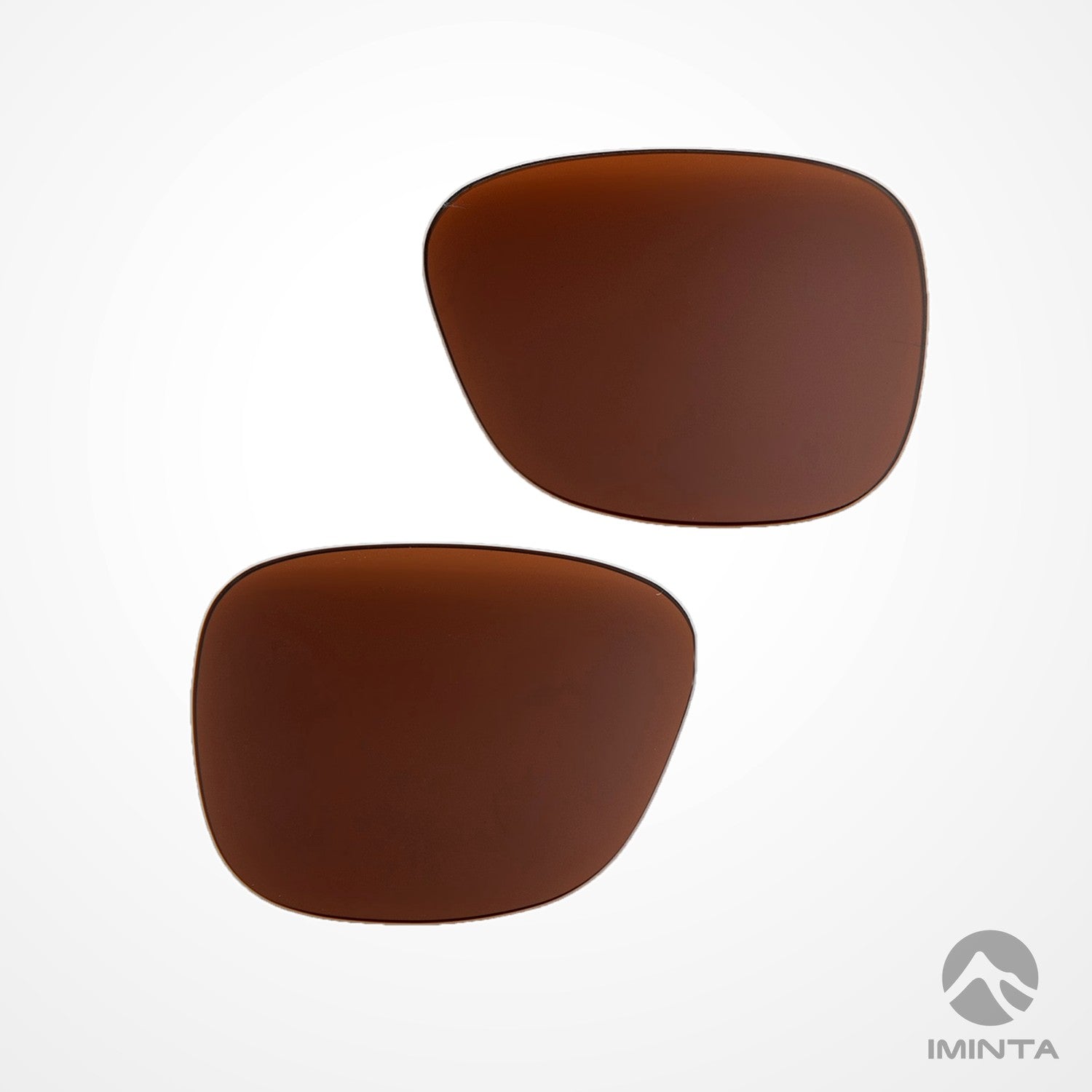 IMINTA Smith Optics Lowdown XL 2 Brown ##brown
