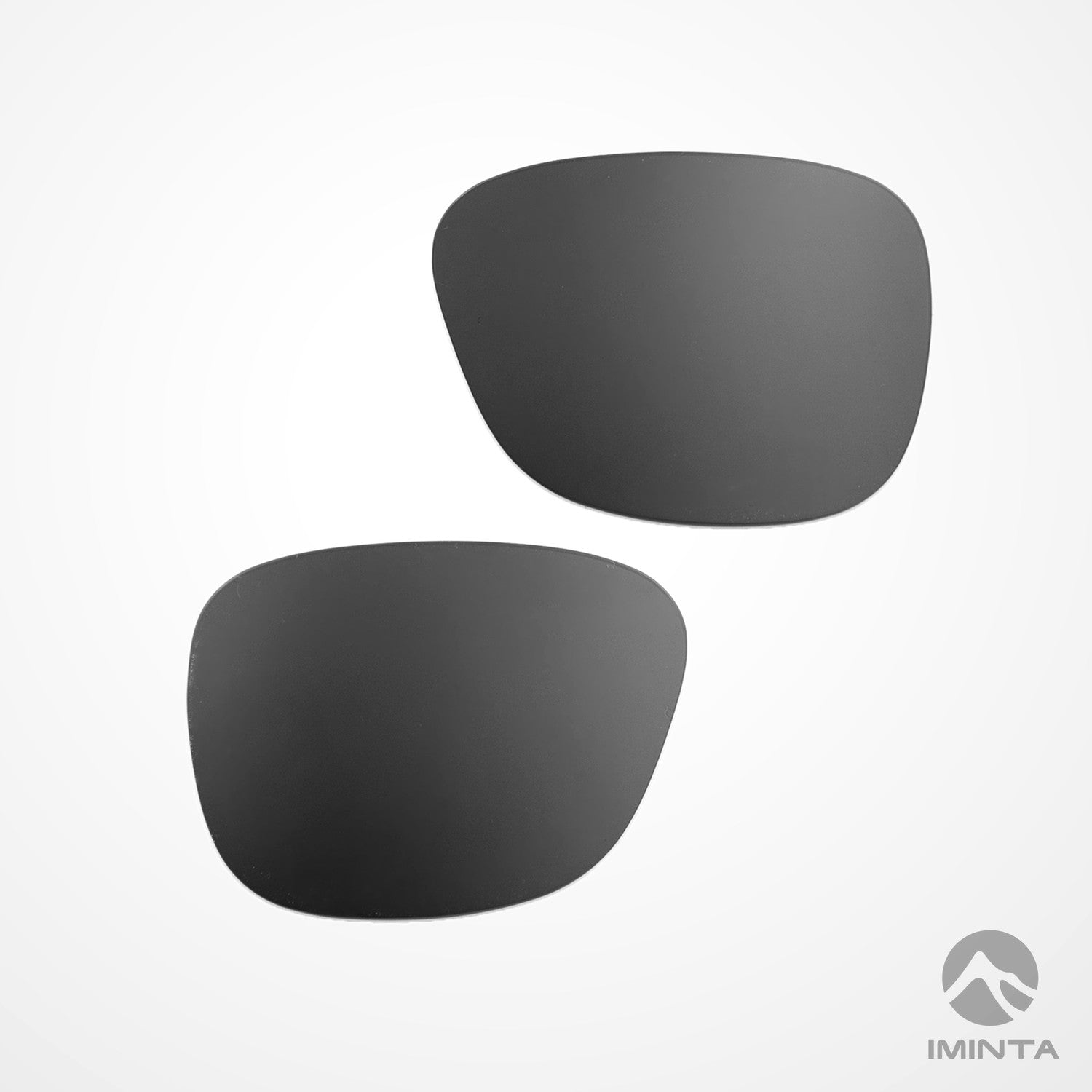IMINTA Smith Optics Lowdown XL 2 Titanium ##titanium